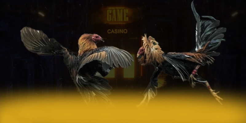 KUWIN - Nhà cái hiện đại được yêu thích nhất