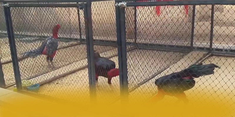 WIN79 - Sân chơi đang được quan tâm hàng đầu tại Việt Nam – Khám phá ngay các trò chơi tại WIN79 WIN79 - Sân chơi đang được quan tâm hàng đầu tại Việt Nam – Khám phá ngay các trò chơi tại WIN79