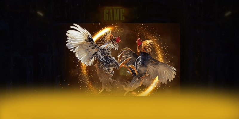 Trực tiếp bóng đá - San choi cung cap hang tram tua game dang cap hien nay Trực tiếp bóng đá - San choi cung cap hang tram tua game dang cap hien nay