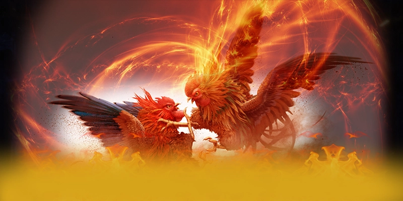 Đánh giá Socolive - Trang cá cược thể thao số 1 hiện nay Đánh giá Socolive - Trang cá cược thể thao số 1 hiện nay